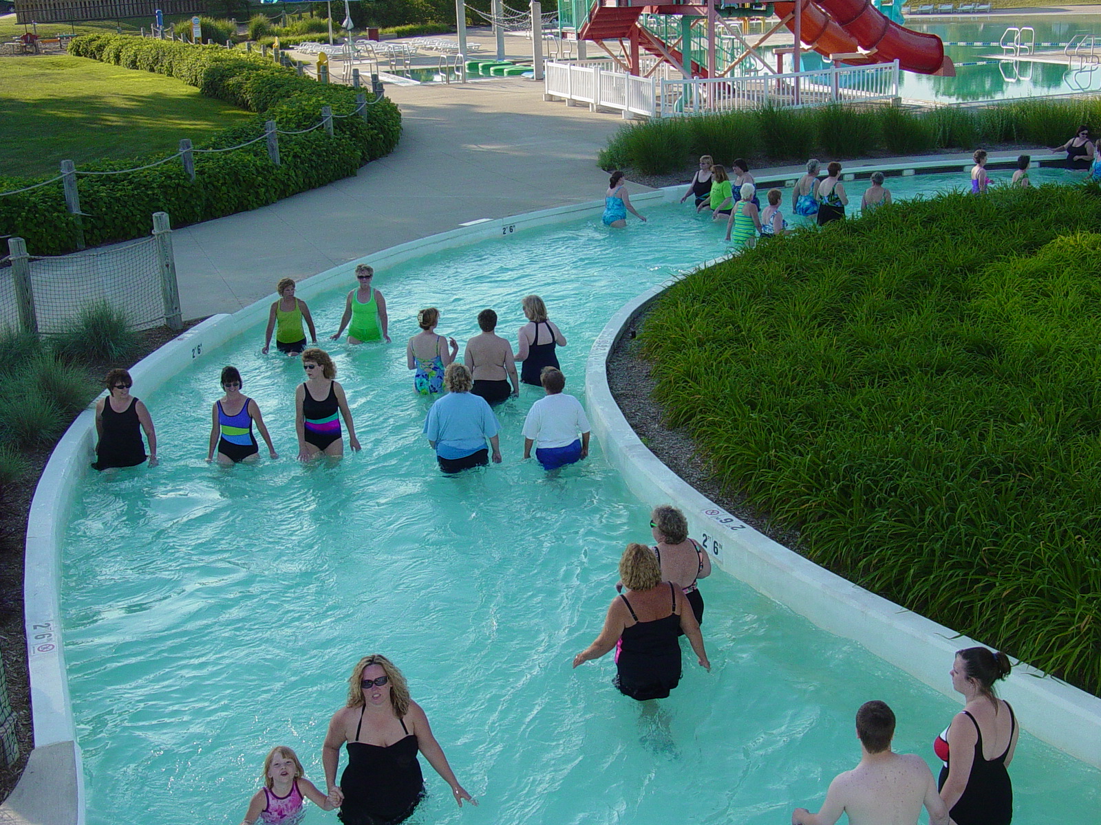 Water Walkers from the platform.jpg
